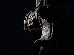 Activ Bdsm pentru ea